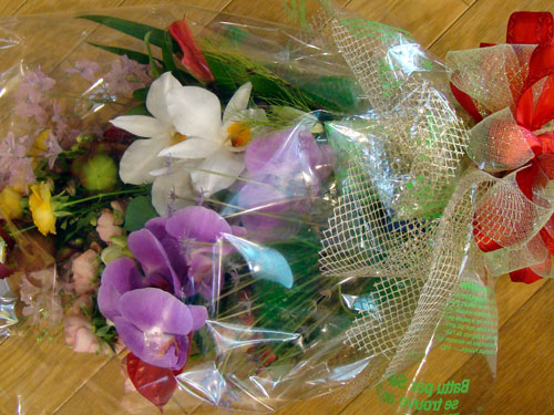 平均年齢 4歳と80歳(くらいかな・・)_a0047200_22455848.jpg