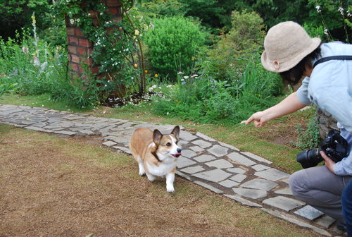 ママ緊張 ルビー笑顔の 初モデル_f0101201_21315813.jpg