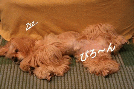 c0128303_062776.gif