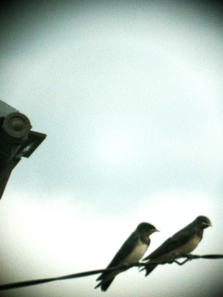 d0077603_8144550.jpg