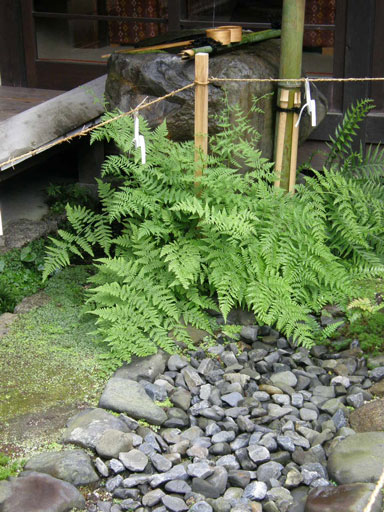 f0036603_18264829.jpg