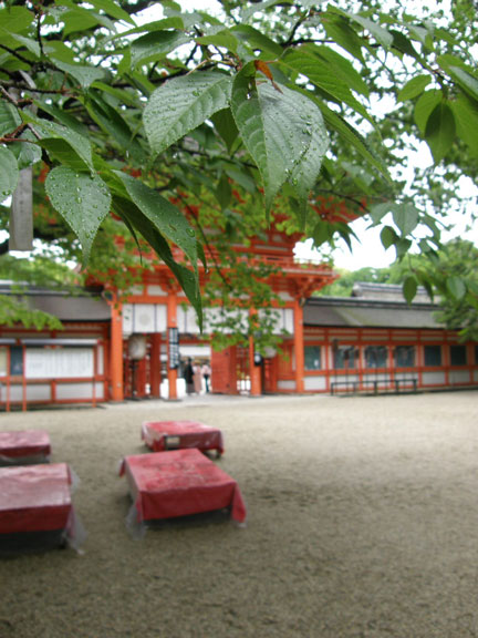 f0036603_182735100.jpg