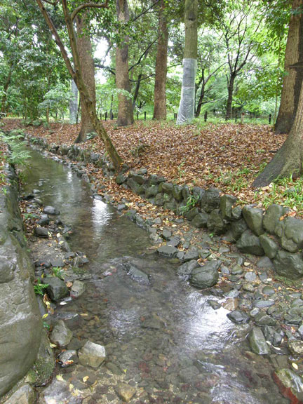 f0036603_18303648.jpg