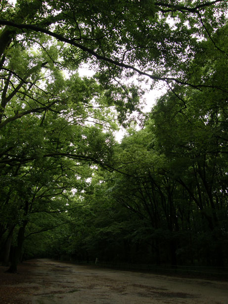 f0036603_18312546.jpg