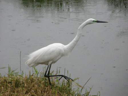 f0036603_18332641.jpg