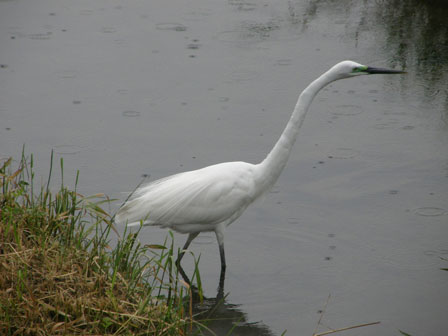f0036603_18333478.jpg