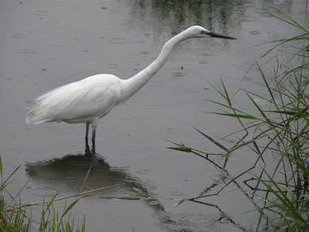 f0036603_18334034.jpg