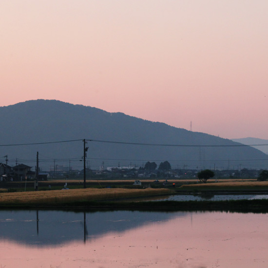 たんぼに反射する夕焼けを撮る♪_a0189805_21405193.jpg