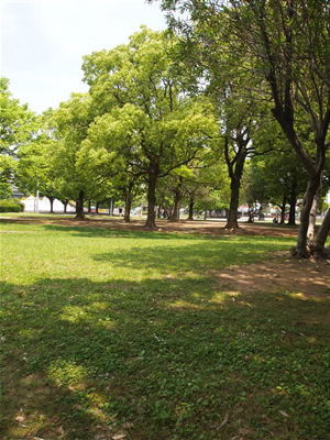 f0236607_1857571.jpg
