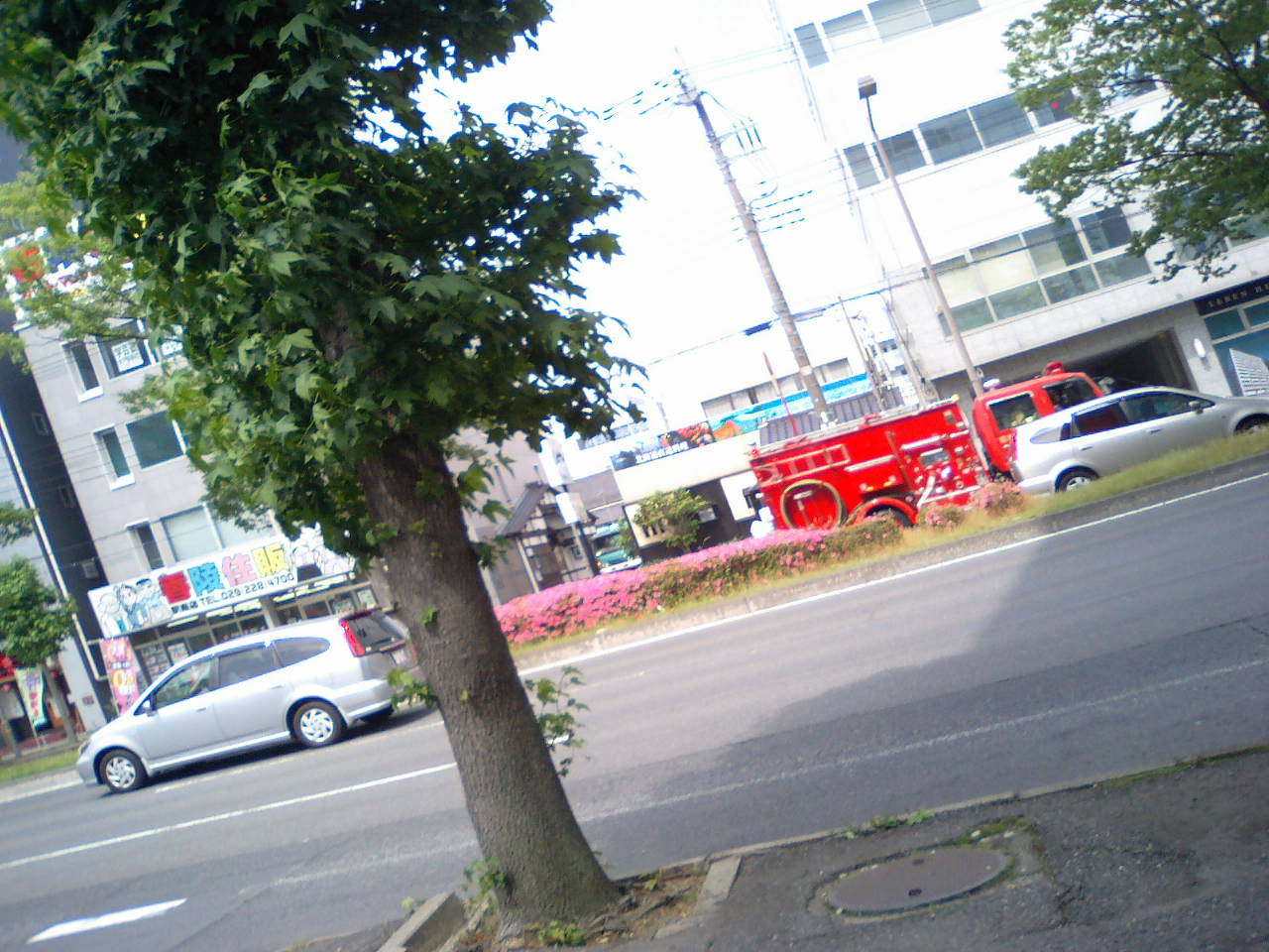 f0155808_234539.jpg