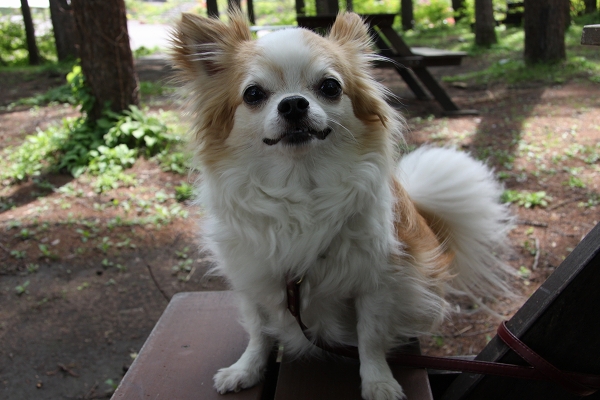 お昼の時間だよ（５月２６日）_c0200810_23452863.jpg