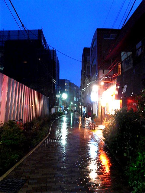 雨滴る東京初夜_c0116714_1573755.jpg