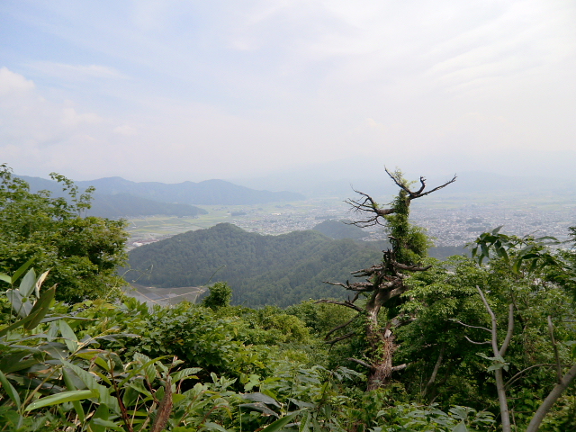 梅雨の晴れ間をぬって飯降山（いいぶりやま）に登る_d0170615_935227.jpg