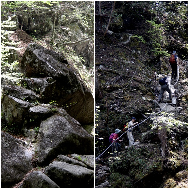 c0073016_847138.jpg