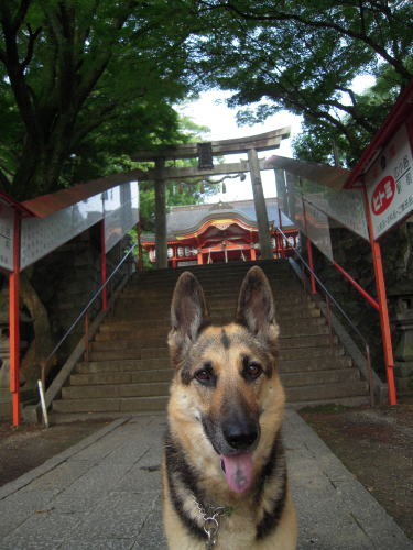 c0090220_16224166.jpg