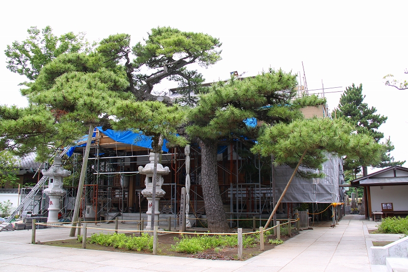 f0229832_16514915.jpg