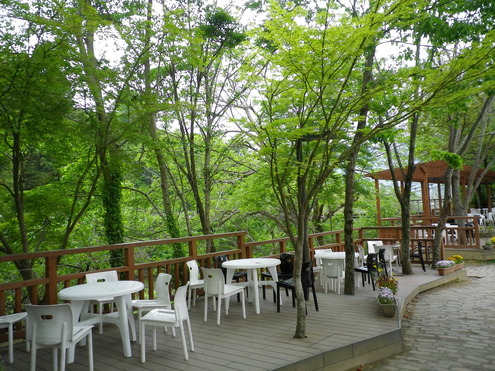 b0207536_019753.jpg