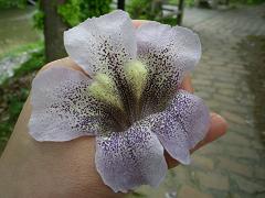 b0207536_0251122.jpg