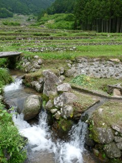 四谷の千枚田　～棚田を歩き・棚田を眺める～　_b0041442_6504849.jpg