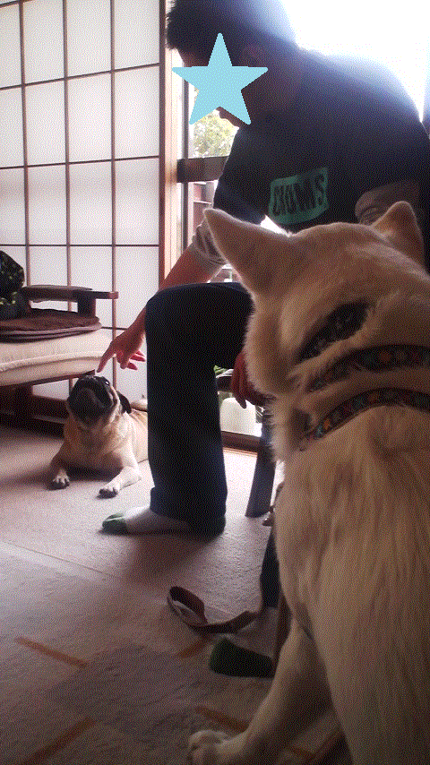 d0204043_163637.gif