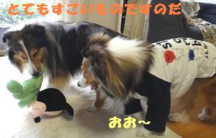 アーサー家へバラ見学に♪_e0195743_2285263.jpg