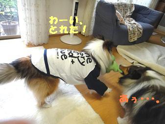 アーサー家へバラ見学に♪_e0195743_2291957.jpg
