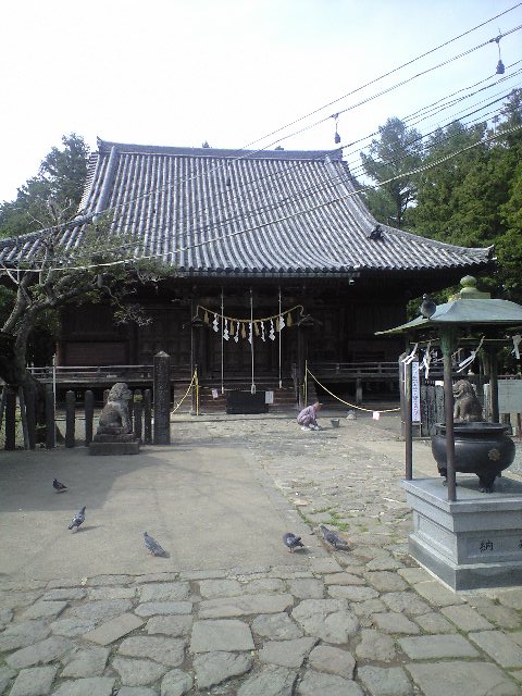 b0206845_1691839.jpg