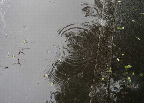 e0082045_19364047.jpg