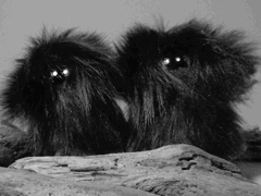e0005548_22195280.gif