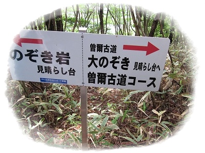 d0048350_2110717.jpg