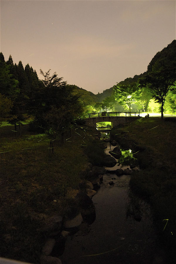 武雄　蛍と小川の夜　佐賀県立宇宙科学館そば　　_b0014152_6255542.jpg