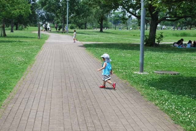 公園・水遊び一回目_e0175352_14504889.jpg