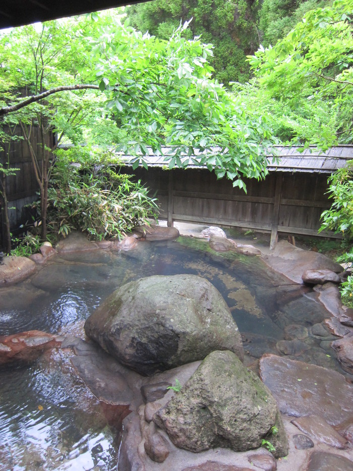 2011春旅☆九州　～黒川温泉　お宿　野の花　その３～_e0232054_23261869.jpg