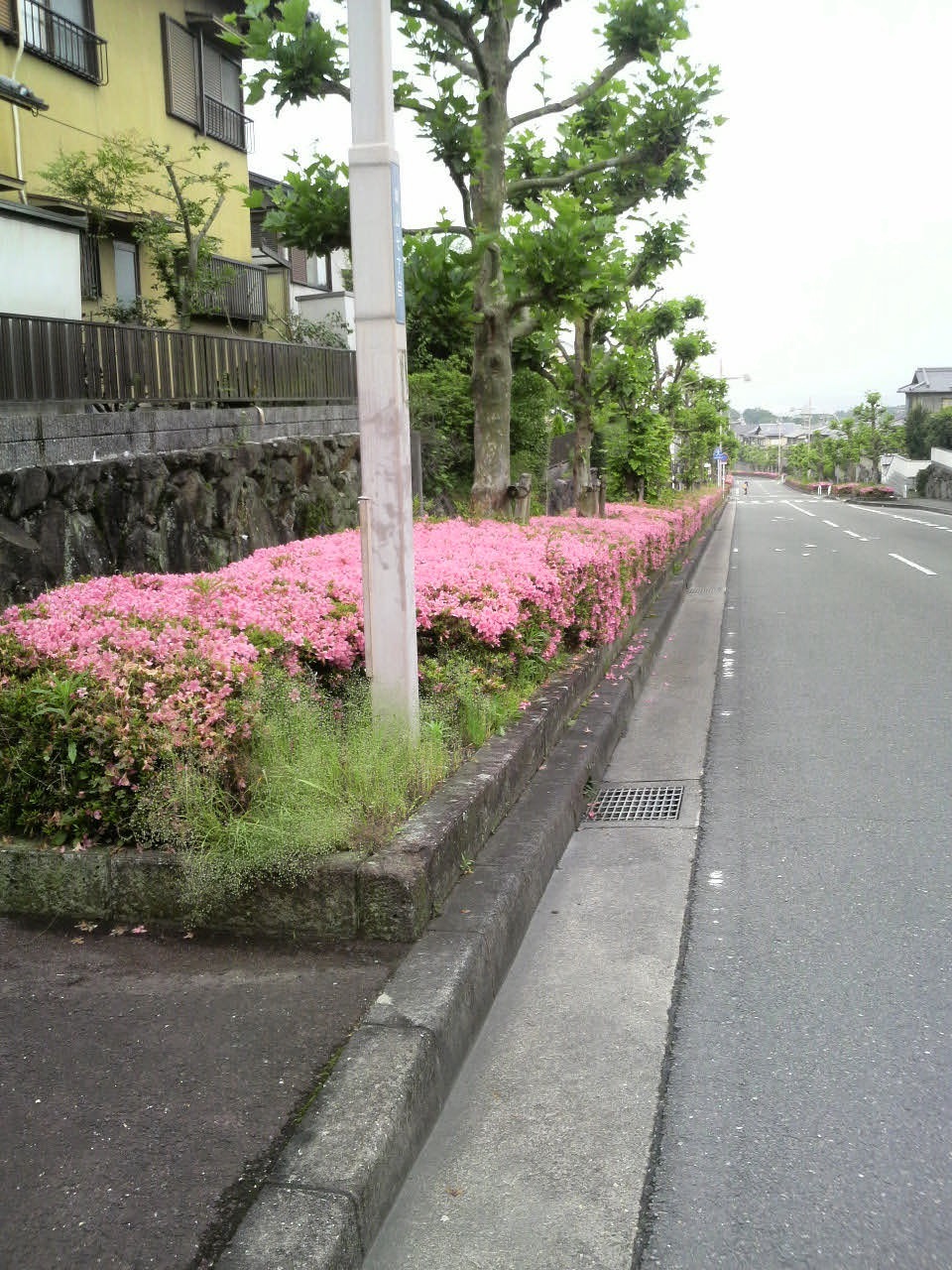 梅雨の晴れ間_f0233356_844410.jpg