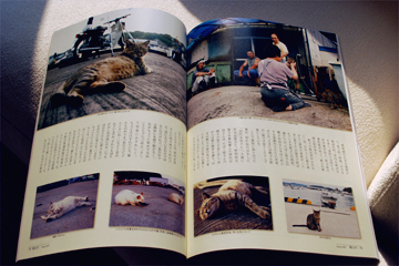 お知らせ・宮古報告(06)_c0181457_6115570.jpg