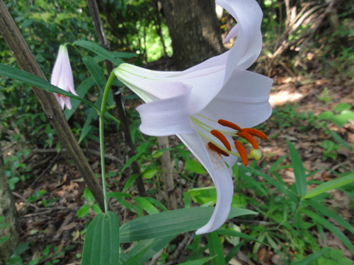 c0108460_23133627.jpg