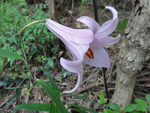c0108460_2321366.jpg