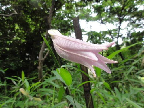 c0108460_23241736.jpg
