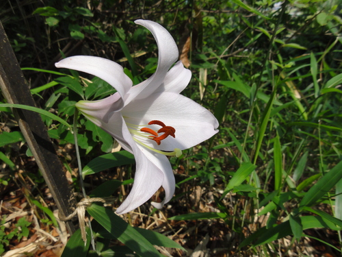 c0108460_2384987.jpg