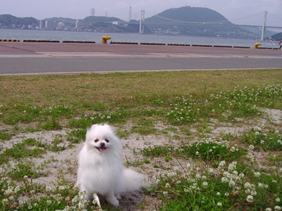 d0054461_8195539.jpg