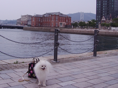 d0054461_8214584.jpg