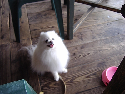 d0054461_8264136.jpg