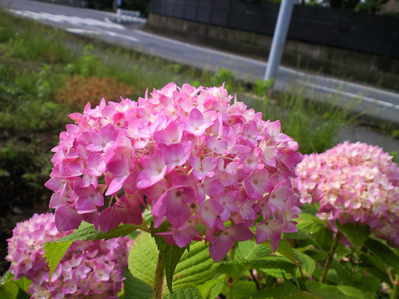 e0223862_2237289.jpg