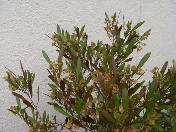 b0194267_20243895.jpg