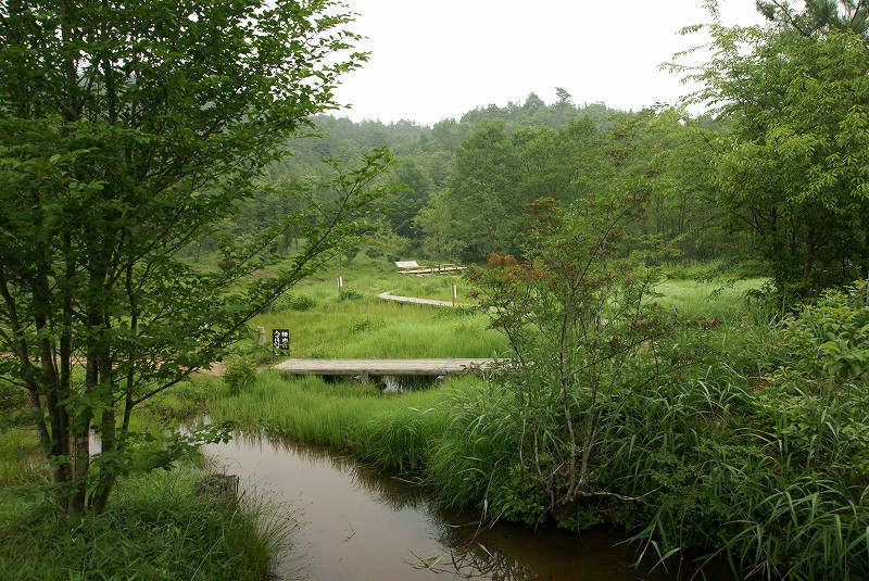 b0198768_23111566.jpg