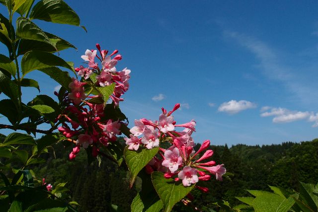 a0025576_20121247.jpg