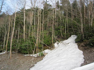 c0218879_2338383.jpg