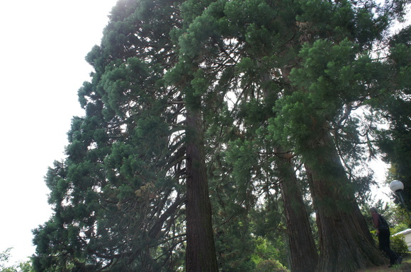 バーデン・バーデン_c0180686_615671.jpg