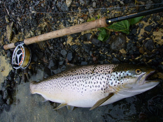 a0118989_20435992.jpg