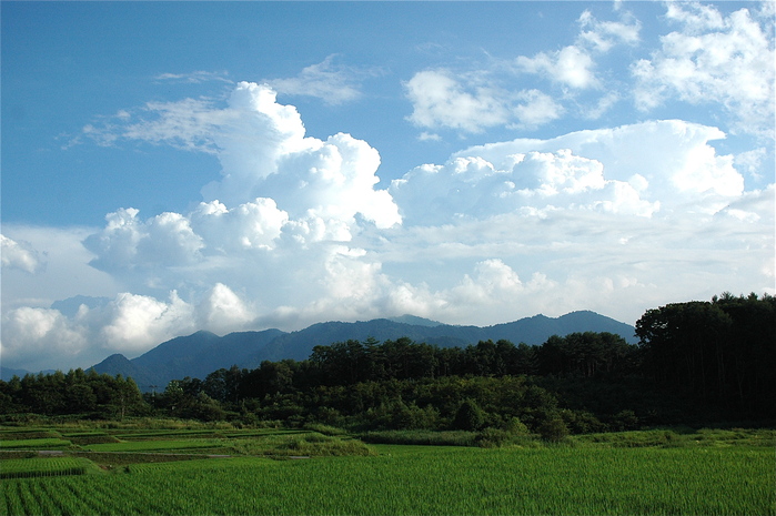 風景　会津　2008.08.09_b0217090_124174.jpg